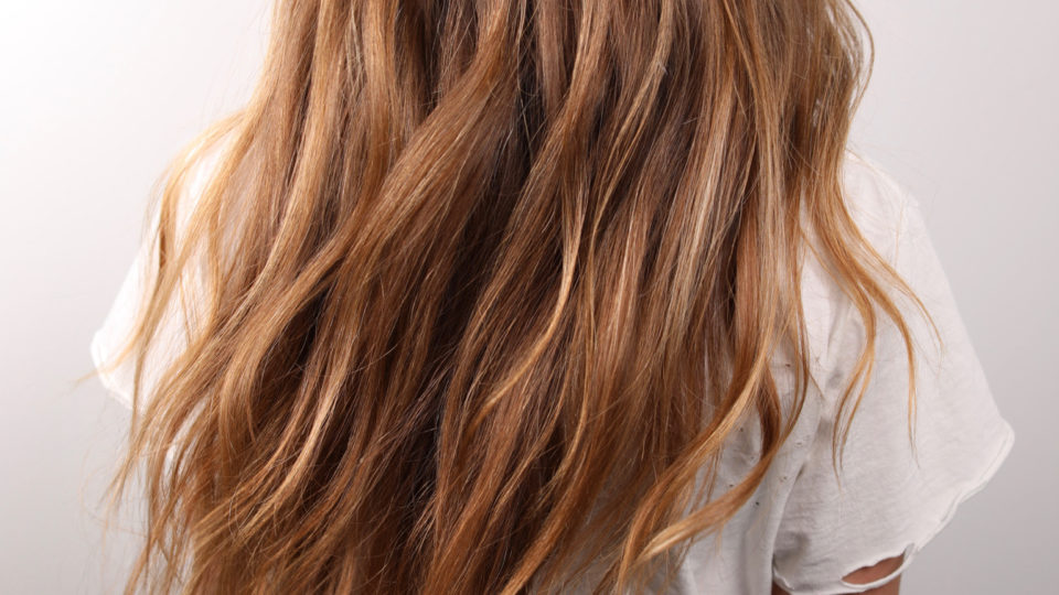 Beachy Brunette Lived in Color