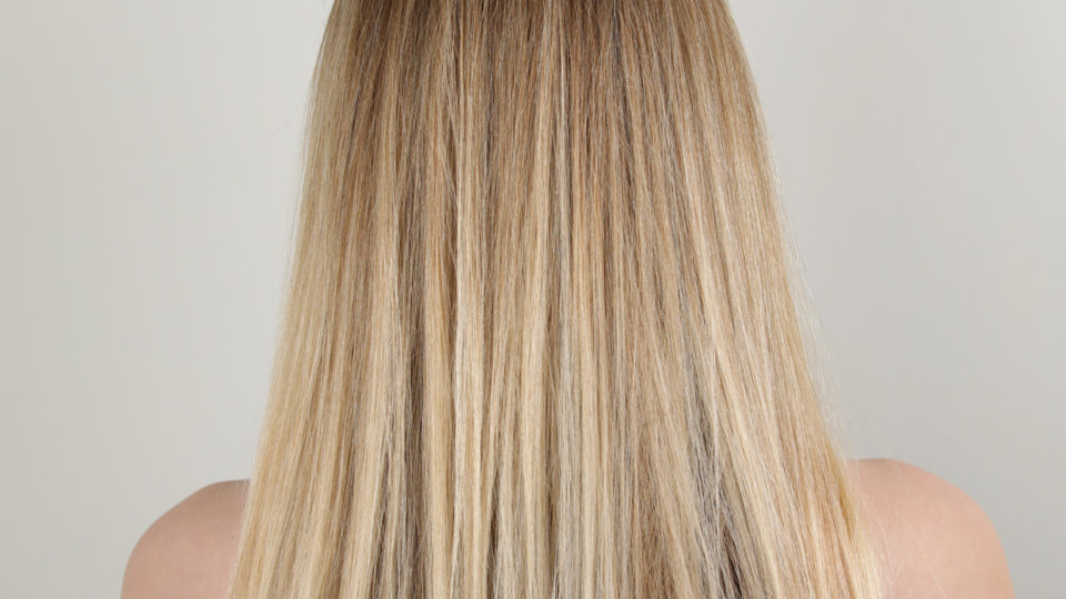 Blonde Lived in Color™