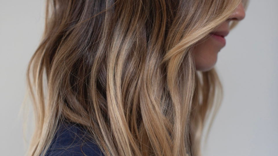 Winter honey brown highlights…